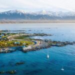 Kaikoura Day Tour From Christchurch - The Practical Side: Comfort, Value, and Booking