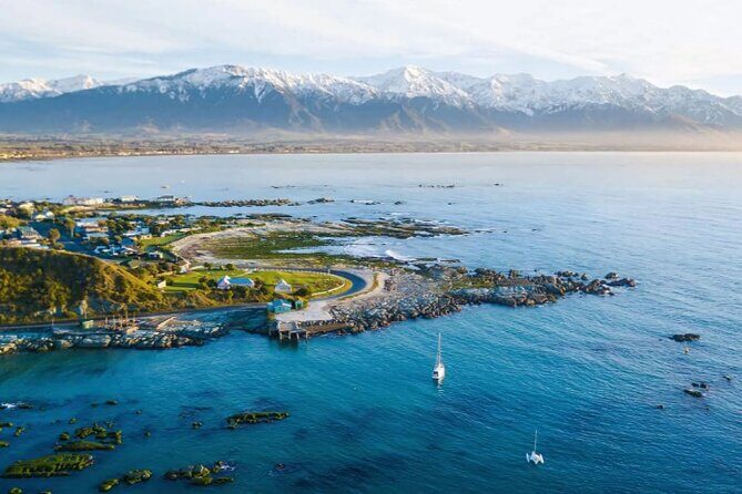 Kaikoura Day Tour From Christchurch - The Practical Side: Comfort, Value, and Booking