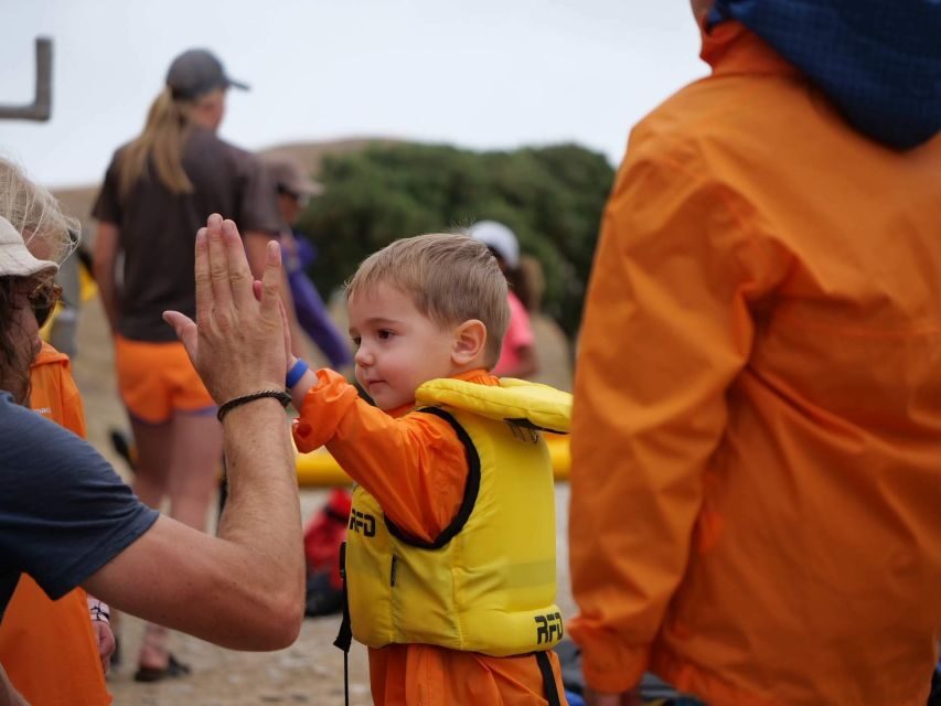 Kaikoura: Guided Family Kayaking Adventure - What You Can Expect During the Tour