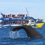 Kaikoura Private Whale Watching Day Trip from Christchurch - What Sets This Tour Apart?