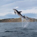Kaikoura: Sunset Evening Kayaking Tour - Final Thoughts: Is the Kaikoura Sunset Kayaking Tour Worth It?