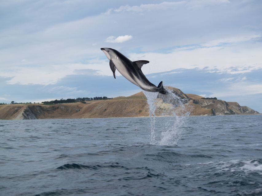 Kaikoura: Sunset Evening Kayaking Tour - Final Thoughts: Is the Kaikoura Sunset Kayaking Tour Worth It?