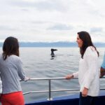Kaikoura Whale Watch Day Tour from Christchurch - What We Love About This Tour
