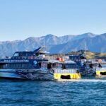 Kaikoura: Whale Watching Cruise - The Itinerary and Onboard Experience