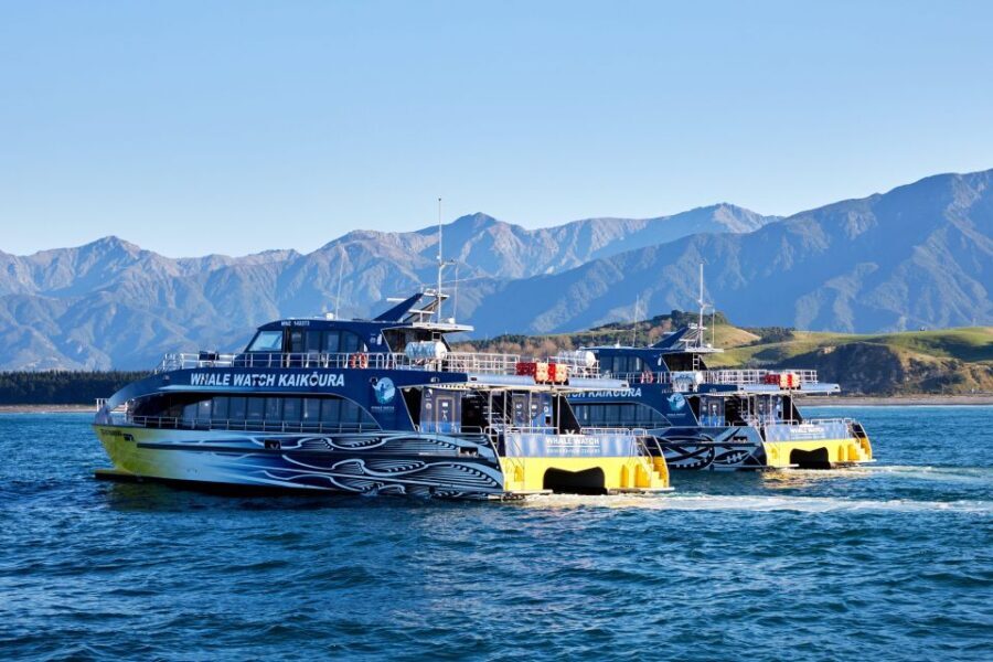 Kaikoura: Whale Watching Cruise - The Itinerary and Onboard Experience