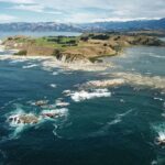 Kaikura Day Tour From Christchurch With Whale Watch - What You’ll Love About This Tour