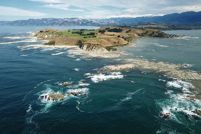 Kaikura Day Tour From Christchurch With Whale Watch - What You’ll Love About This Tour
