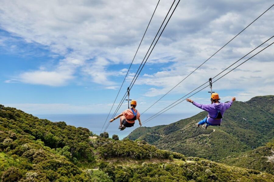 Kaikura: Zipline and Native Forest Adventure Trip - Why This Tour Is Worth Considering