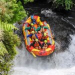 Kaituna River and Tutea Falls Whitewater Rafting - The Itinerary: What You Can Expect