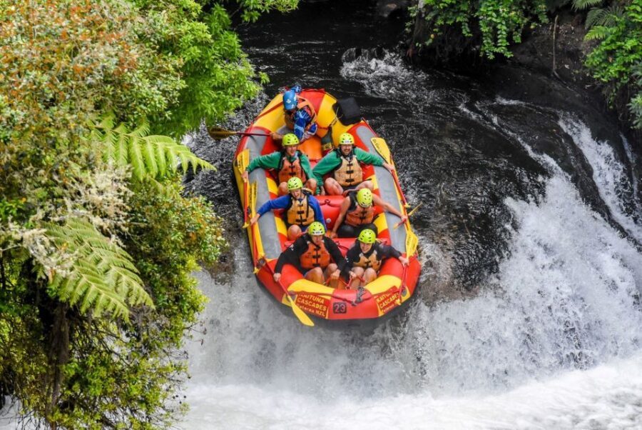 Kaituna River and Tutea Falls Whitewater Rafting - The Itinerary: What You Can Expect