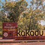 Kakadu Wilderness Escape Fogg Dam or Crocodile Cruise - Day Trip from Darwin - The Practical Side: What to Expect