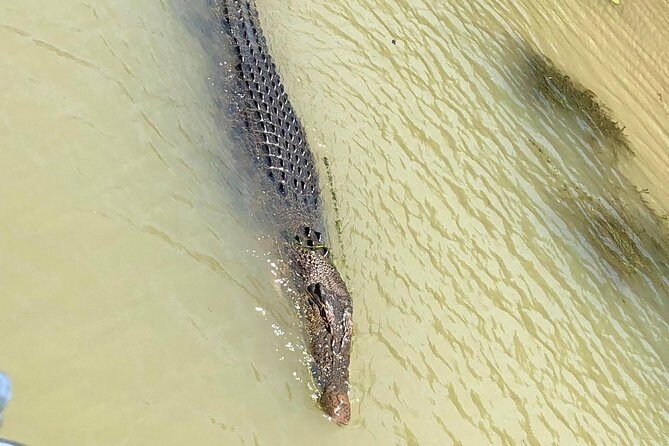 Kakadu Yellow Waters Cruise & Katherine Gorge Helicopter Scenic - Practical Considerations