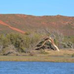 Kalbarri: Murchison River Morning Cruise - Final Thoughts: Is It Worth It?