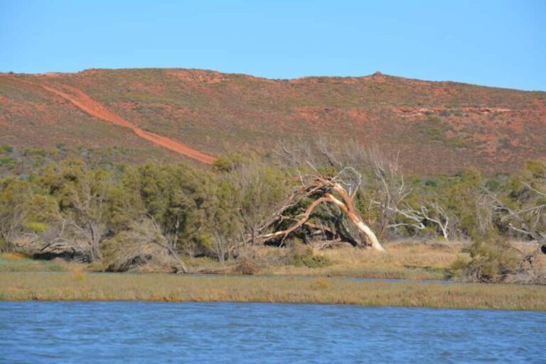 Kalbarri: Murchison River Morning Cruise - Final Thoughts: Is It Worth It?
