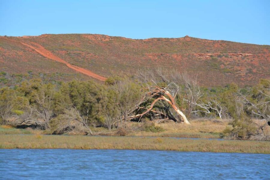 Kalbarri: Murchison River Morning Cruise - Final Thoughts: Is It Worth It?
