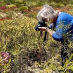 Kalbarri Wildflower Tour - Transport & Group Size: Comfort and Intimacy