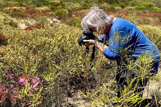 Kalbarri Wildflower Tour - Transport & Group Size: Comfort and Intimacy