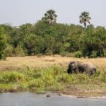Kampala: 3-Day Murchison Falls National Park Safari - Detailed Breakdown of the Itinerary