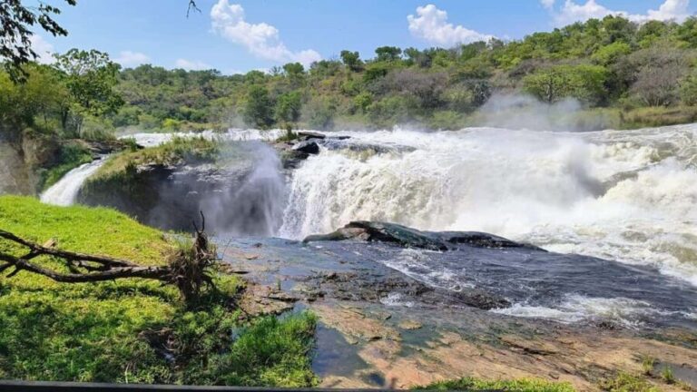 Kampala: 3-Day Murchison Falls Safari - Key Points