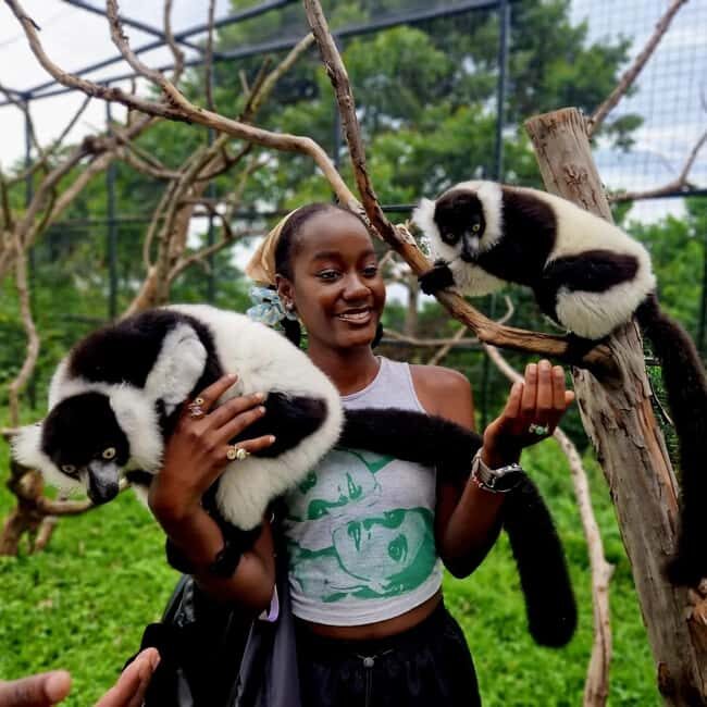 Kampala: Conservation Centre for Wildlife Guided Tour - Final Thoughts: Is It Worth It?