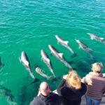Kangaroo Island: 75-Minute Coastal Safari - The Value of a 75-Minute Coastal Safari