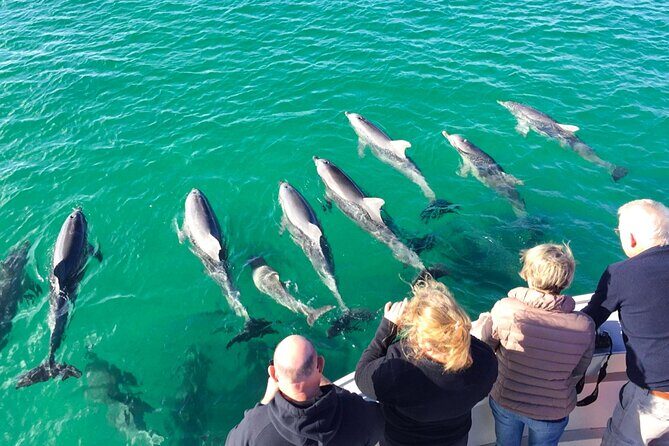Kangaroo Island 75-Minute Coastal Safari - The Price and What You’re Getting