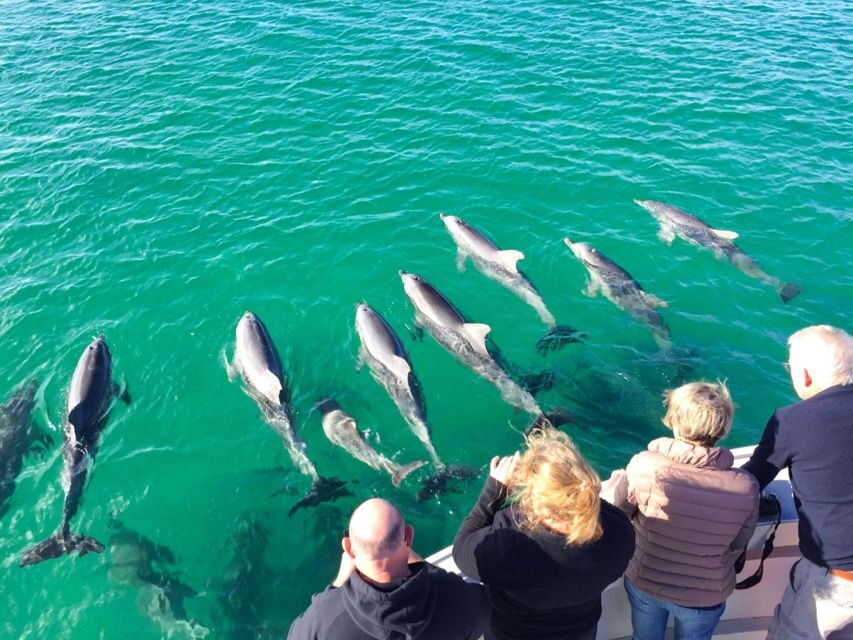 Kangaroo Island: 75-Minute Coastal Safari - The Value of a 75-Minute Coastal Safari