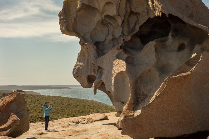 Kangaroo Island in a Day Tour from Adelaide - Who Will Love This Tour?
