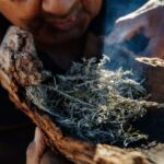 Kangaroo Island: Indigenous Day Tour - Value and Considerations