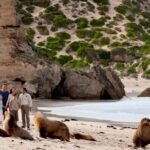 Kangaroo Island Scenic Nature and Wildlife Day Tour - Why Choose This Tour?