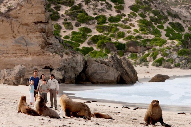 Kangaroo Island Scenic Nature and Wildlife Day Tour - Why Choose This Tour?