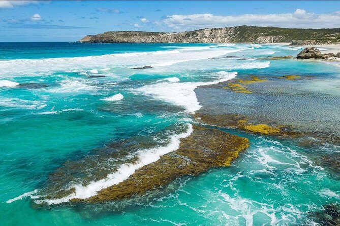 Kangaroo Island Shore Excursion Tasting Tour - For Cruise Ship Passengers Only - What Makes This Tour Stand Out
