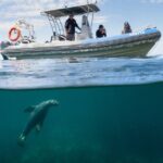 Kangaroo Island Ultimate Adventure Tour departing Kingscote - The Morning Adventure: Little Sahara