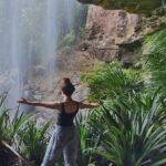 Kangaroos, Rainforest & Waterfalls Experience - Small Group - The Practical Side