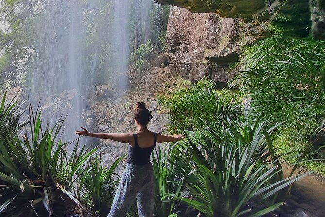 Kangaroos, Rainforest & Waterfalls Experience - Small Group - The Practical Side