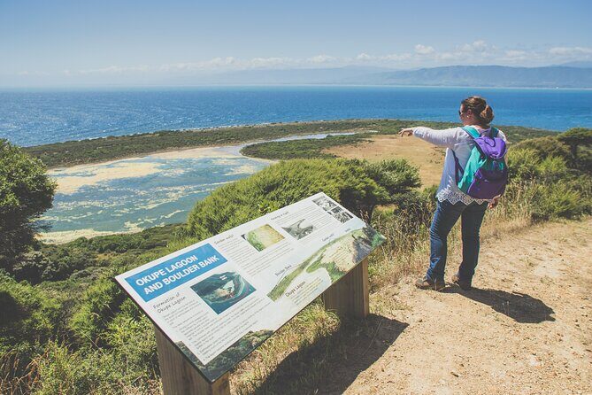 Kapiti Island Classic Guided Day Tour - What Makes This Tour a Great Value