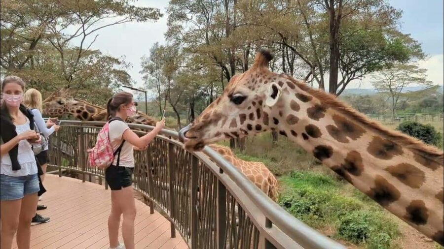 Karen Blixen, Beads Factory, Giraffe Center and Bomas Tour - Who Should Consider This Tour?