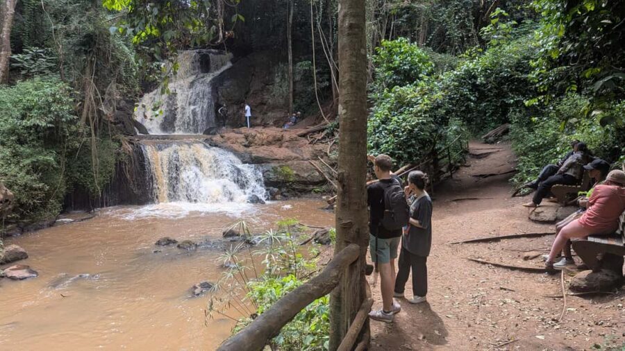 Karura Forest: Walking tour with Nature and Waterfalls. - Why This Tour Offers Great Value