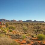 Kata Tjuta and Valley of the Winds - Authentic Insights from Reviewers