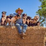 Katherine Outback Experience Show Ticket - Is It Worth the Price?