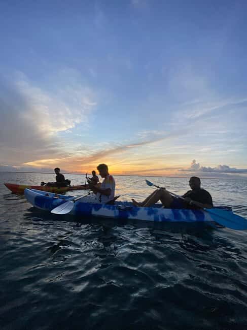 Kayak Mangrove Tour - The Kayaks and Gear