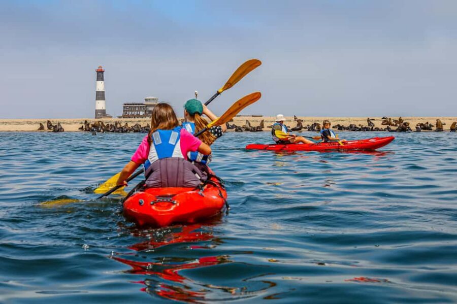 Kayaking Combo with Beach Braai - Practical Details and Tips