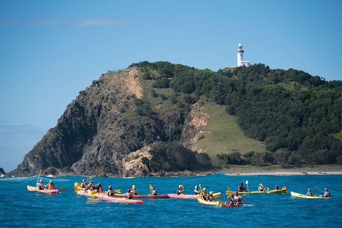 Kayaking with Dolphins in Byron Bay Guided Tour - What’s Included & What You Need to Know