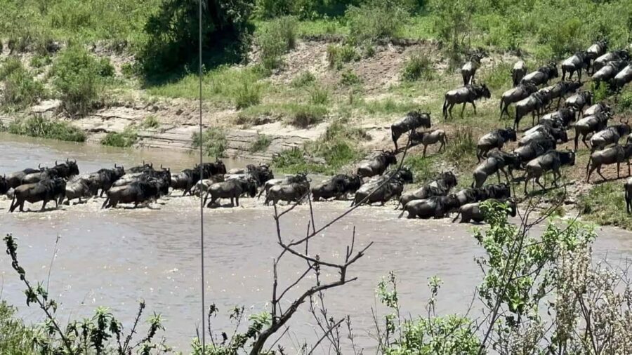 Kenya: 5-Day Maasai Mara & Lake Nakuru Camping Safari - What’s Included and What’s Not