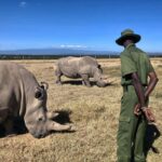 Kenya: 5-Day Safari to Ol Pejeta, Masai Mara, and Nakuru - Final Thoughts