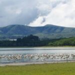 Kenya: 7-Day Masai Mara, Lake Nakuru, and Samburu Safari - What to Expect in Terms of Logistics and Comfort
