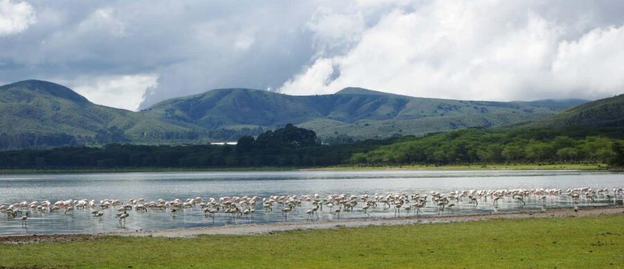 Kenya: 7-Day Masai Mara, Lake Nakuru, and Samburu Safari - What to Expect in Terms of Logistics and Comfort