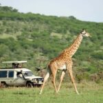 Kenya & Tanzania: 18-Day Safari with Zanzibar Beach Stay - Practical Considerations and Value