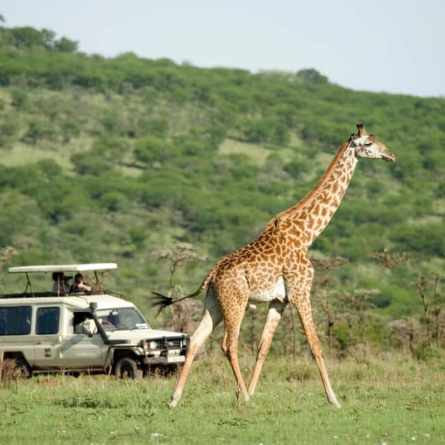 Kenya & Tanzania: 18-Day Safari with Zanzibar Beach Stay - Practical Considerations and Value