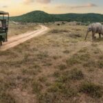 Kenya, Tanzania, Uganda, Rwanda, and Burundi: 25-Day Tour - The Itinerary in Detail: What Makes Each Stop Special?